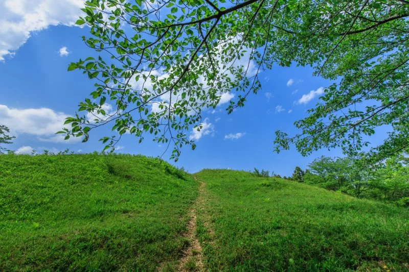 無料壁紙 Windows XPの壁紙みたいな光景。PCとデスクトップ壁紙に最適な4K高画質の無料壁紙。三重県津市の明合古墳で撮影したフリー写真素材