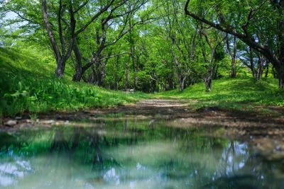 無料壁紙 新緑リフレクション。PCとデスクトップ壁紙に最適な4K高画質の無料壁紙。三重県津市の明合古墳で撮影したフリー写真素材