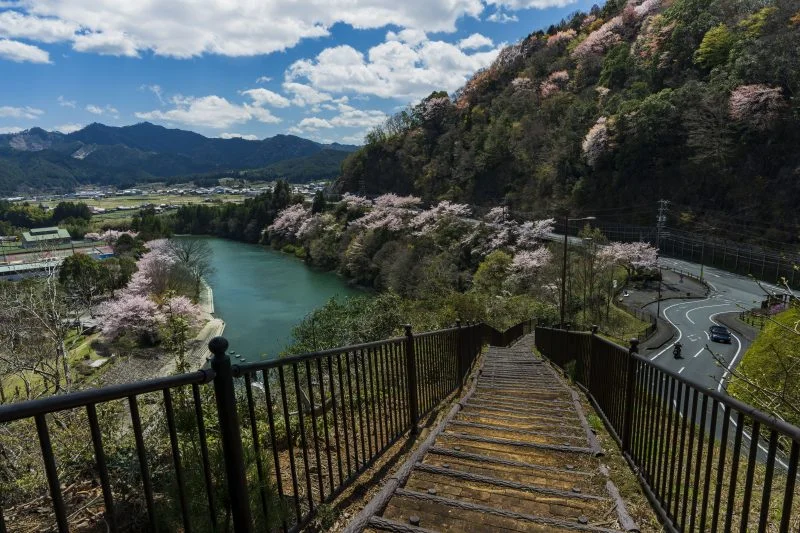 無料壁紙 茶倉の階段からお花見。PCとデスクトップ壁紙に最適な4K高画質の無料壁紙。三重県松阪市の道の駅 茶倉駅で撮影したフリー写真素材