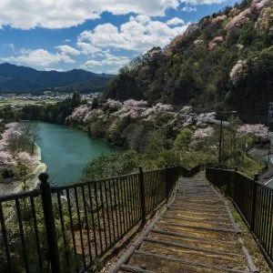 無料壁紙 茶倉の階段からお花見。PCとデスクトップ壁紙に最適な4K高画質の無料壁紙。三重県松阪市の道の駅 茶倉駅で撮影したフリー写真素材