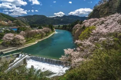 無料壁紙 櫛田川沿いの桜並木。PCとデスクトップ壁紙に最適な4K高画質の無料壁紙。三重県松阪市の道の駅 茶倉駅で撮影したフリー写真素材