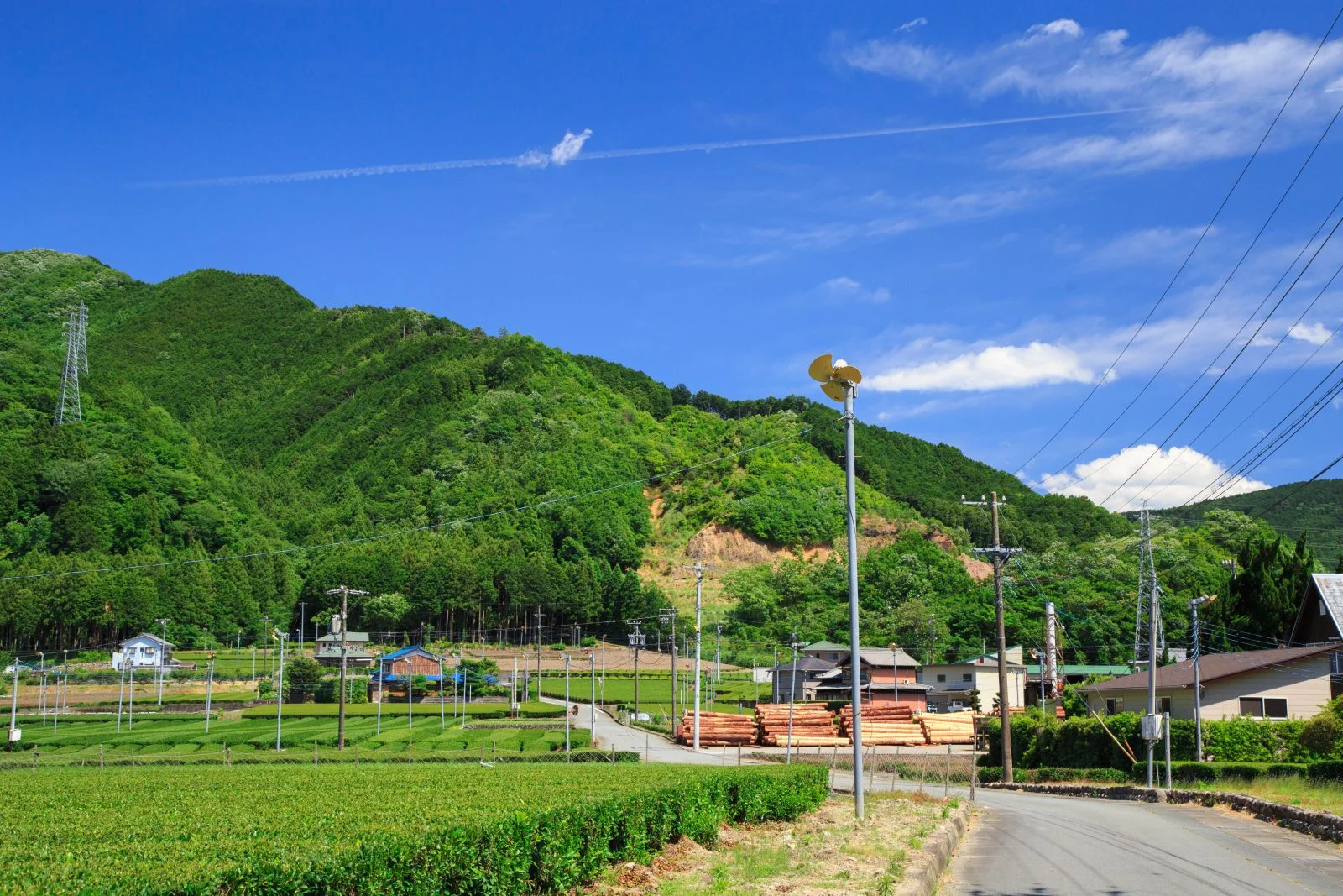 無料壁紙 リバーサイド茶倉周辺の茶畑。PCとデスクトップ壁紙に最適な4K高画質の無料壁紙。三重県松阪市の道の駅 茶倉駅で撮影したフリー写真素材