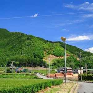 無料壁紙 リバーサイド茶倉周辺の茶畑。PCとデスクトップ壁紙に最適な4K高画質の無料壁紙。三重県松阪市の道の駅 茶倉駅で撮影したフリー写真素材