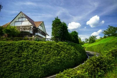 無料壁紙 新緑ウェーブ。PCとデスクトップ壁紙に最適な4K高画質の無料壁紙。三重県松阪市の道の駅 茶倉駅で撮影したフリー写真素材