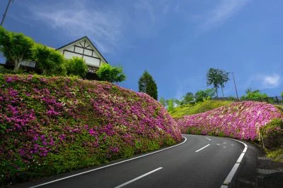 無料壁紙 ツツジウェーブ。PCとデスクトップ壁紙に最適な4K高画質の無料壁紙。三重県松阪市の道の駅 茶倉駅で撮影したフリー写真素材