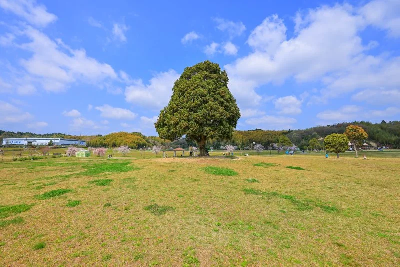 無料壁紙 こかげ広場。PCとデスクトップ壁紙に最適な4K高画質の無料壁紙。三重県津市の中勢グリーンパークで撮影したフリー写真素材