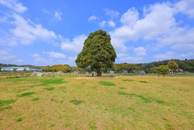 無料壁紙 こかげ広場。PCとデスクトップ壁紙に最適な4K高画質の無料壁紙。三重県津市の中勢グリーンパークで撮影したフリー写真素材