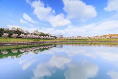 無料壁紙 ツユニ塩湖。PCとデスクトップ壁紙に最適な4K高画質の無料壁紙。三重県津市の中勢グリーンパークで撮影したフリー写真素材