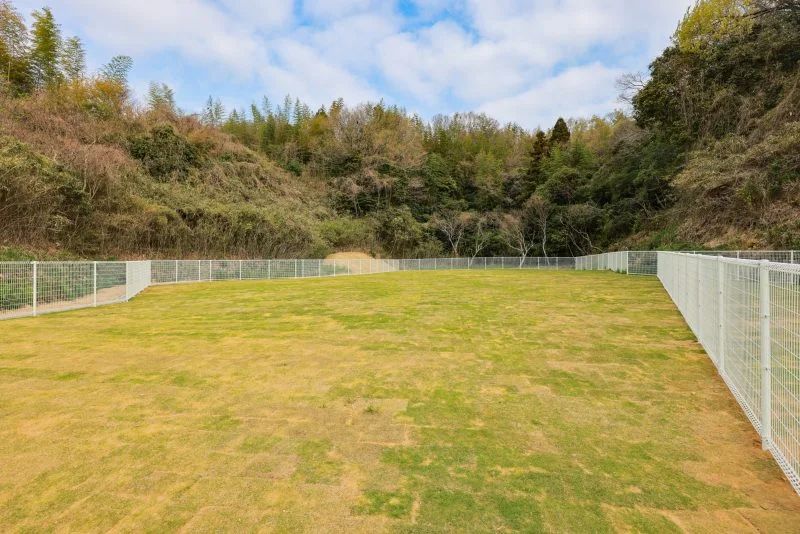 無料壁紙 ドッグランの中。PCとデスクトップ壁紙に最適な4K高画質の無料壁紙。三重県津市の中勢グリーンパークで撮影したフリー写真素材