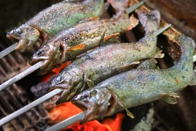 無料壁紙 串刺しもスタッフさんがしてくれます。PCとデスクトップ壁紙に最適な4K高画質の無料壁紙。三重県津市の大吉あまごセンターで撮影したフリー写真素材