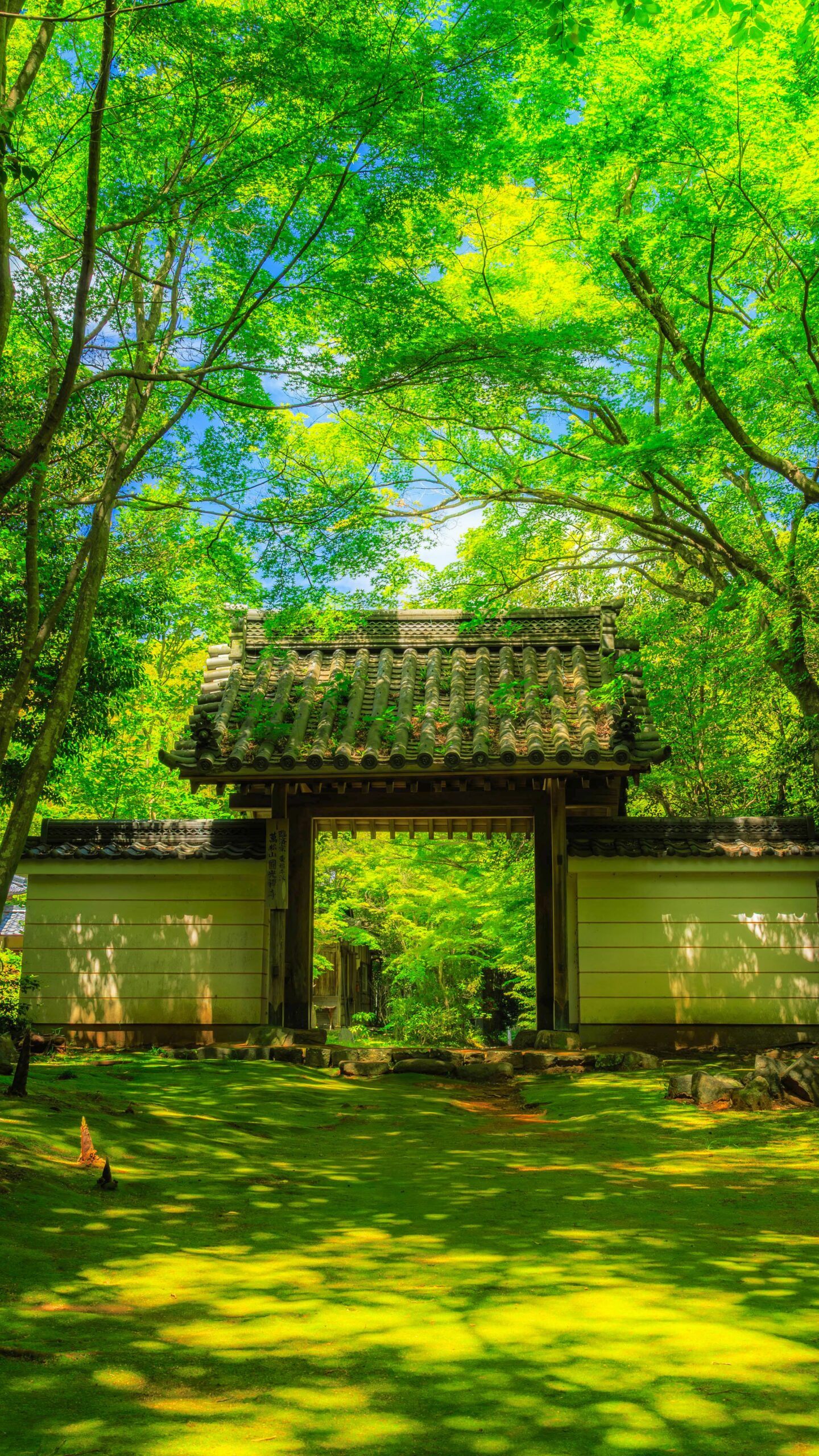 無料壁紙 青葉に包まれるお寺。PCとデスクトップ壁紙に最適な4K高画質の無料壁紙。三重県津市の円光寺で撮影したフリー写真素材