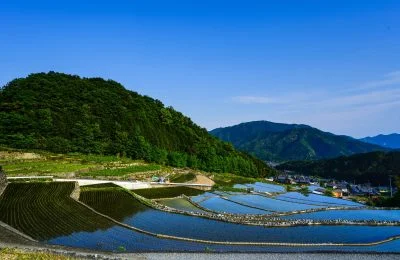 無料壁紙 棚田リフレクション。PCとデスクトップ壁紙に最適な4K高画質の無料壁紙。三重県松阪市の深野のだんだん田で撮影したフリー写真素材