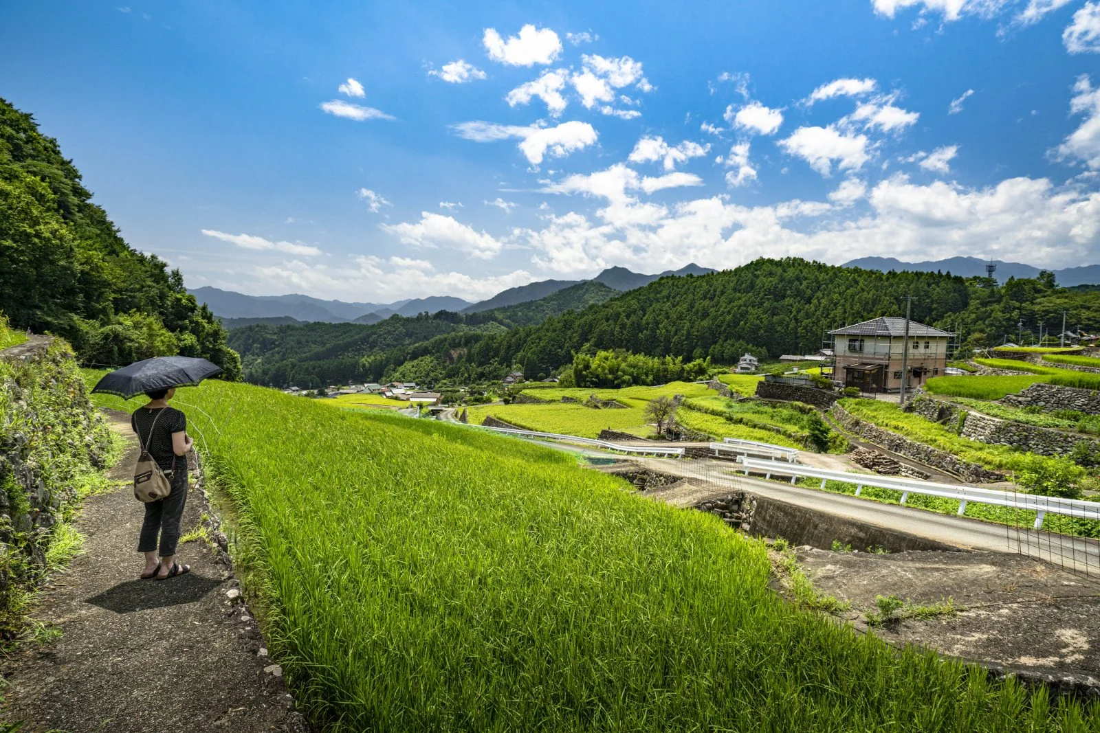 無料壁紙 棚田のある町。PCとデスクトップ壁紙に最適な4K高画質の無料壁紙。三重県松阪市の深野のだんだん田で撮影したフリー写真素材