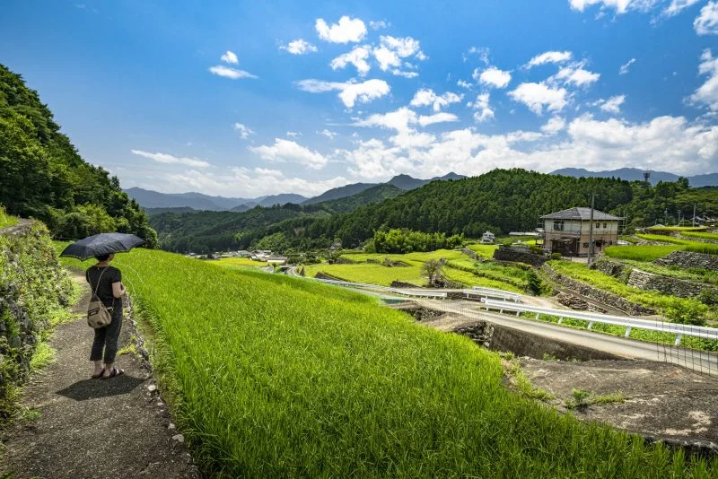 無料壁紙 棚田のある町。PCとデスクトップ壁紙に最適な4K高画質の無料壁紙。三重県松阪市の深野のだんだん田で撮影したフリー写真素材