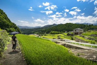 無料壁紙 棚田のある町。PCとデスクトップ壁紙に最適な4K高画質の無料壁紙。三重県松阪市の深野のだんだん田で撮影したフリー写真素材