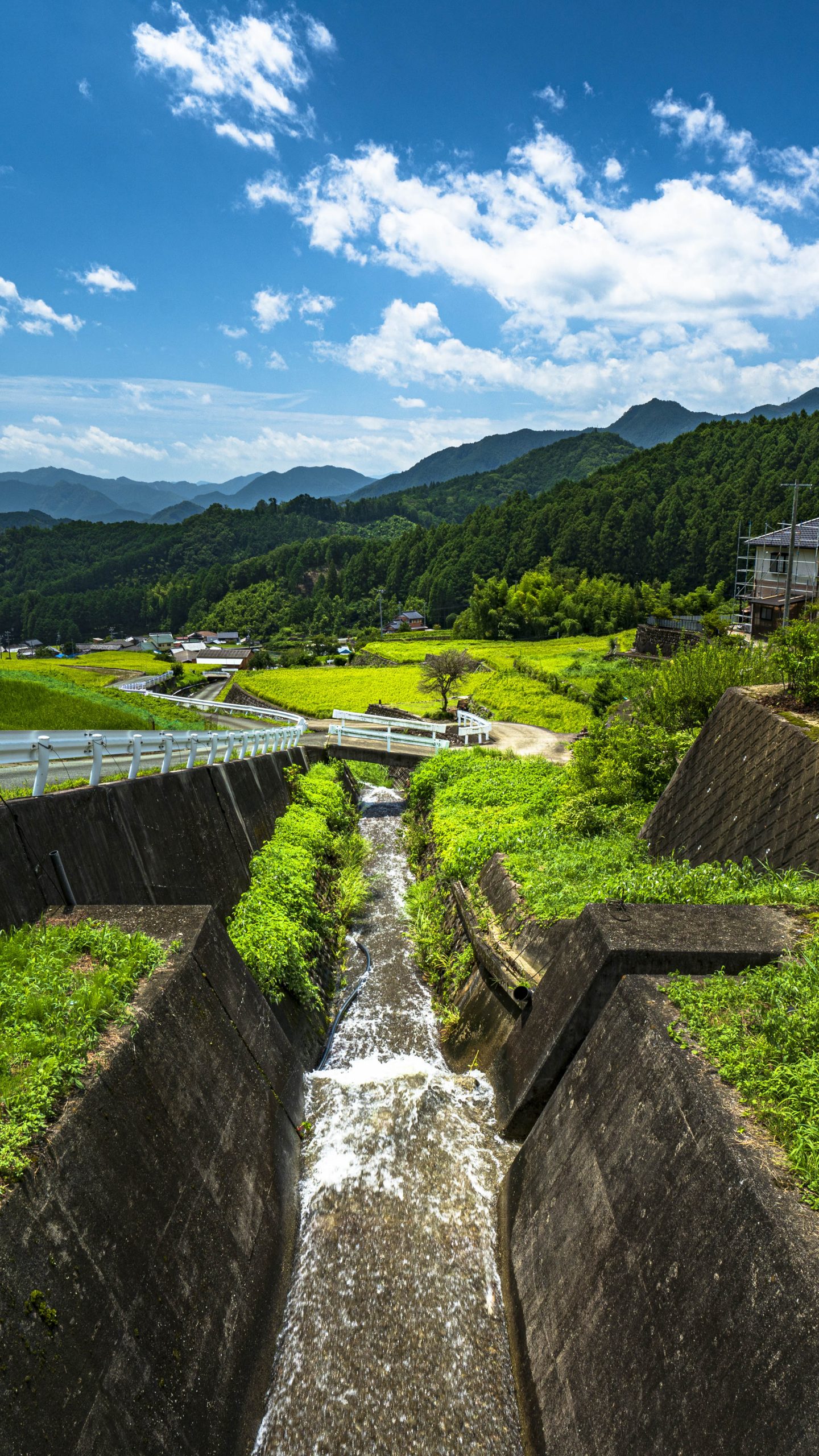 運気が上がる待ち受け 棚田の水田。AndroidとiPhoneに対応した4K高画質の無料スマホ壁紙。三重県松阪市の深野のだんだん田で撮影したフリー写真素材
