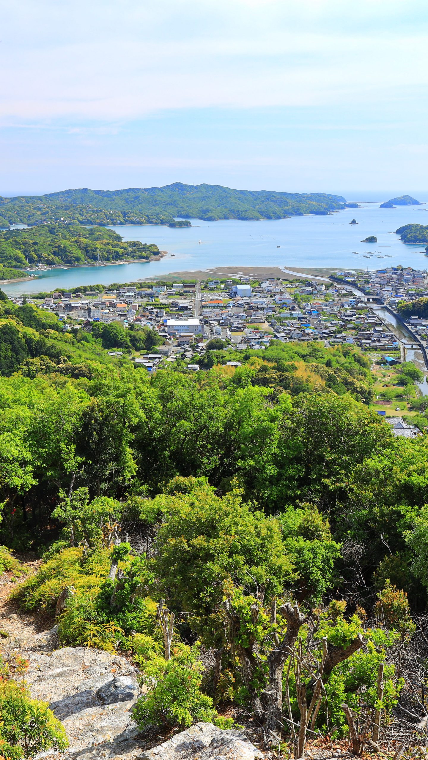 山頂付近から眺める新緑の五ヶ所浦(三重県南伊勢町・五ヶ所浅間山)