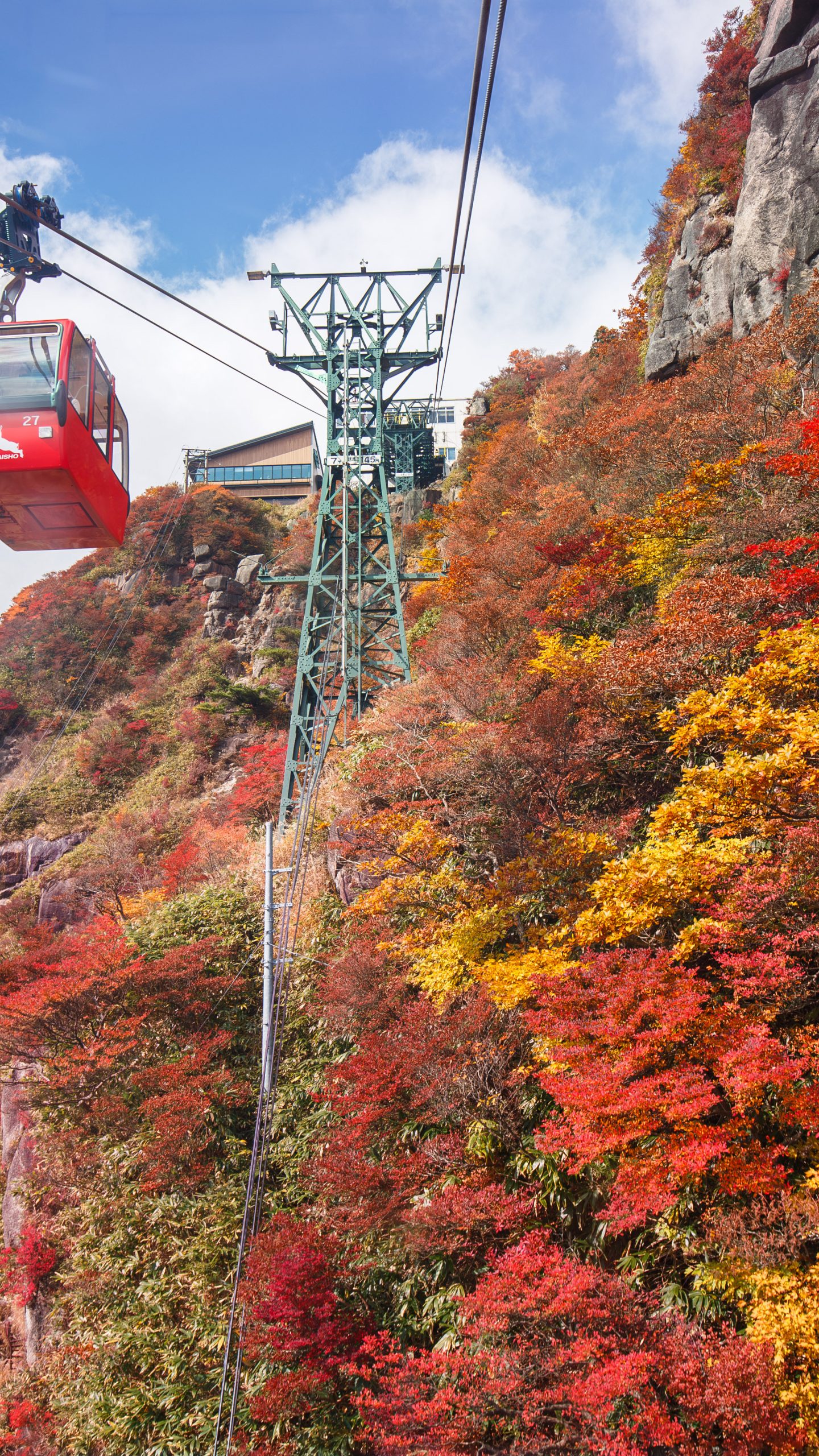 山上の真っ赤な紅葉(三重県菰野町・御在所ロープウエイ)