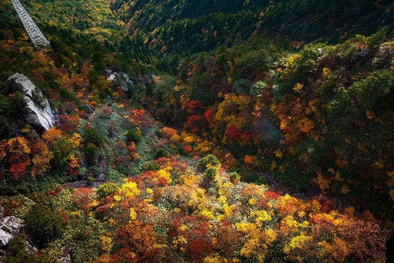 無料壁紙 ゴンドラから眺める御在所岳の紅葉。PCとデスクトップ壁紙に最適な4K高画質の無料壁紙。三重県菰野町の御在所ロープウエイで撮影したフリー写真素材