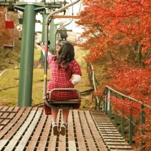 無料壁紙 山上リフトから眺めるドウダンツツジ。PCとデスクトップ壁紙に最適な4K高画質の無料壁紙。三重県菰野町の御在所ロープウエイで撮影したフリー写真素材