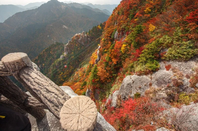 無料壁紙 富士見岩展望台から見下ろす紅葉。PCとデスクトップ壁紙に最適な4K高画質の無料壁紙。三重県菰野町の御在所ロープウエイで撮影したフリー写真素材