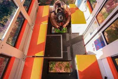 無料壁紙 ゴンドラの底ガラスから紅葉を眺める。PCとデスクトップ壁紙に最適な4K高画質の無料壁紙。三重県菰野町の御在所ロープウエイで撮影したフリー写真素材