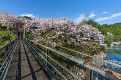 無料壁紙 奥香肌峡の春。PCとデスクトップ壁紙に最適な4K高画質の無料壁紙。三重県松阪市の香肌峡で撮影したフリー写真素材