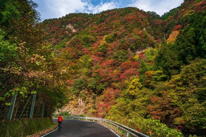無料壁紙 香落渓の紅葉狩り。PCとデスクトップ壁紙に最適な4K高画質の無料壁紙。三重県名張市の香落渓で撮影したフリー写真素材