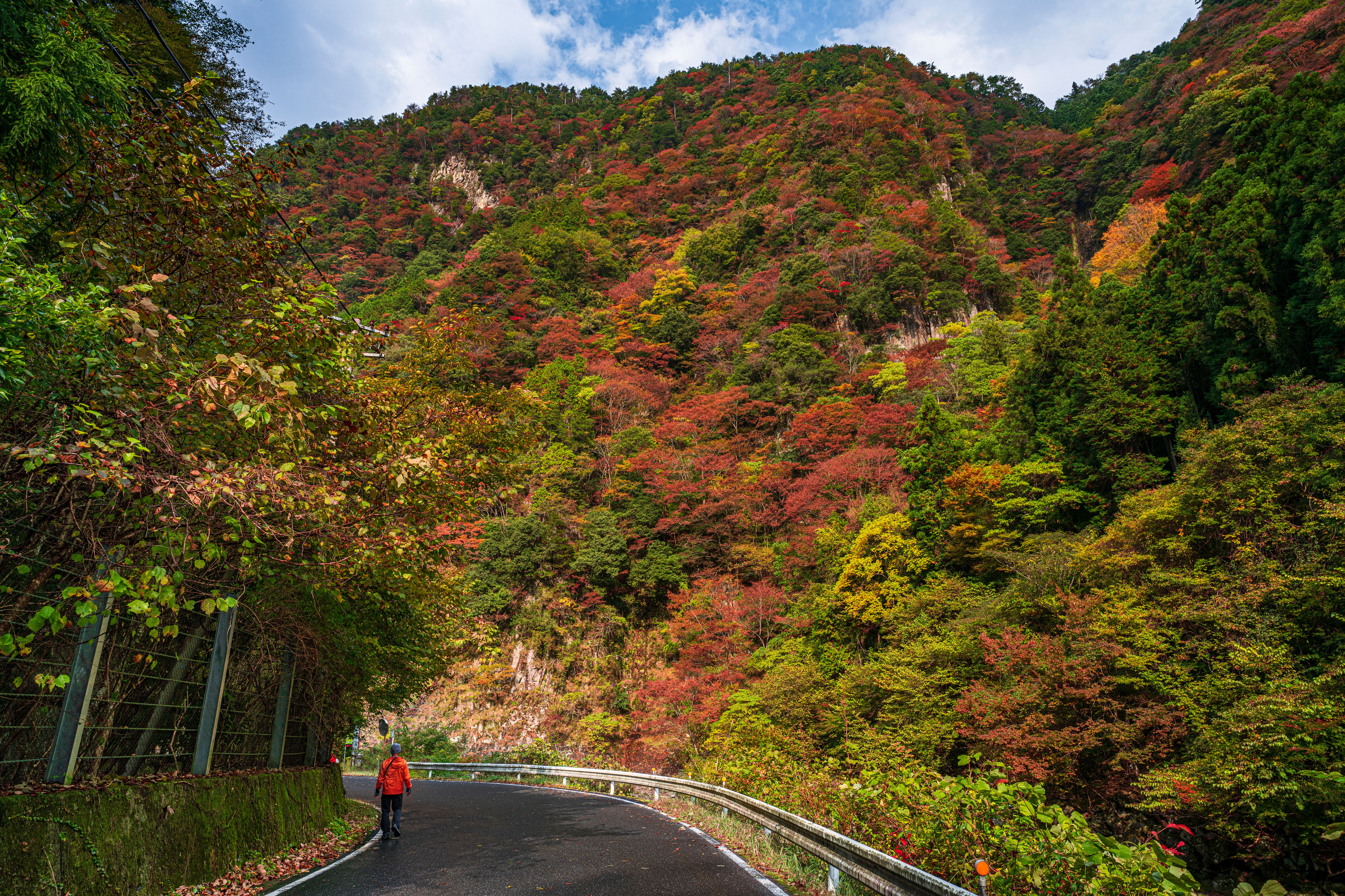 無料壁紙 香落渓の紅葉狩り。PCとデスクトップ壁紙に最適な4K高画質の無料壁紙。三重県名張市の香落渓で撮影したフリー写真素材