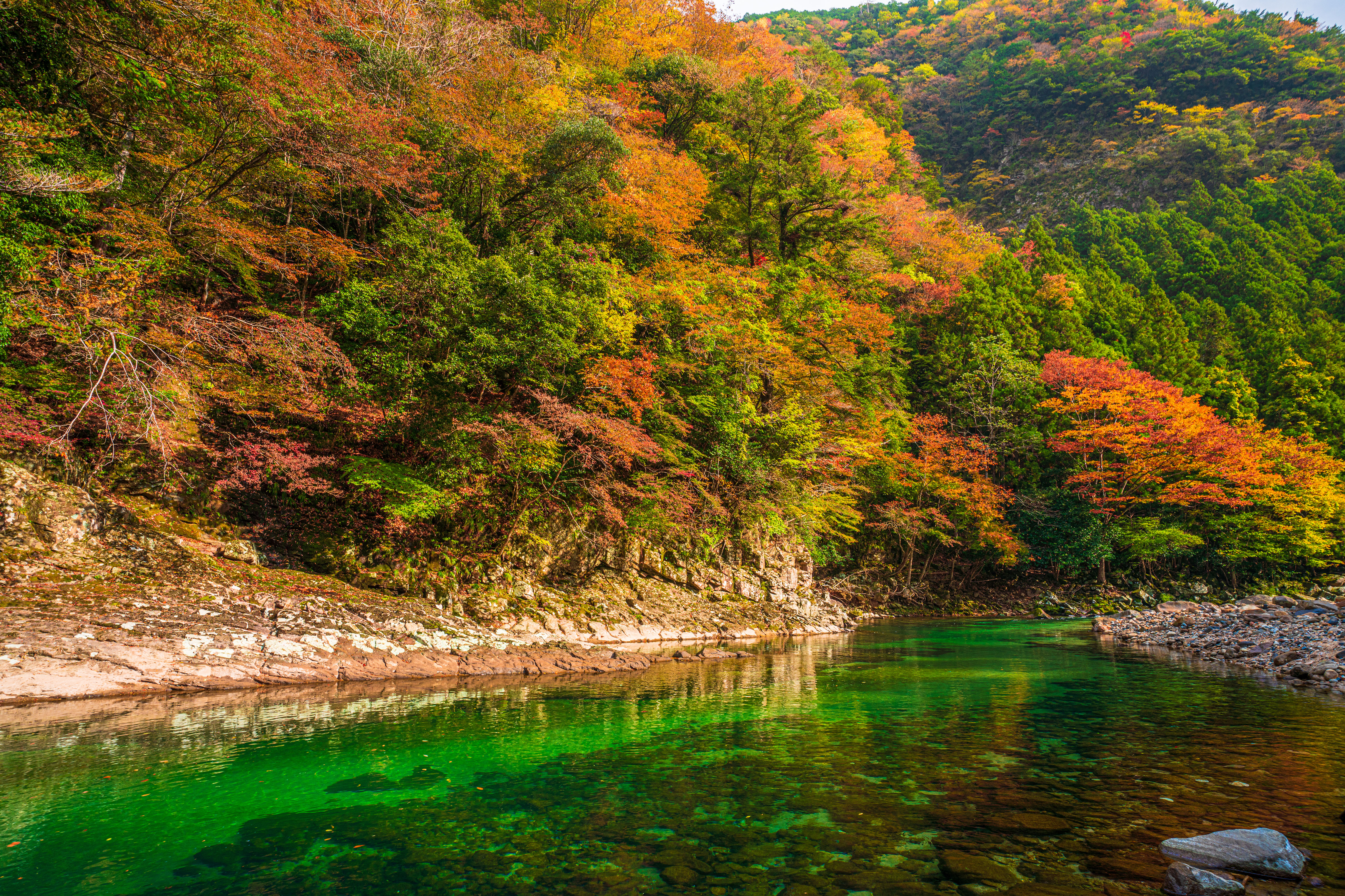 無料壁紙 青蓮寺川と香落渓の紅葉。PCとデスクトップ壁紙に最適な4K高画質の無料壁紙。三重県名張市の香落渓で撮影したフリー写真素材