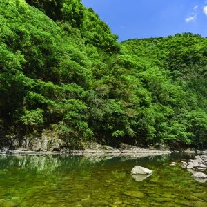 無料壁紙 新緑の青蓮寺川。PCとデスクトップ壁紙に最適な4K高画質の無料壁紙。三重県名張市の香落渓で撮影したフリー写真素材