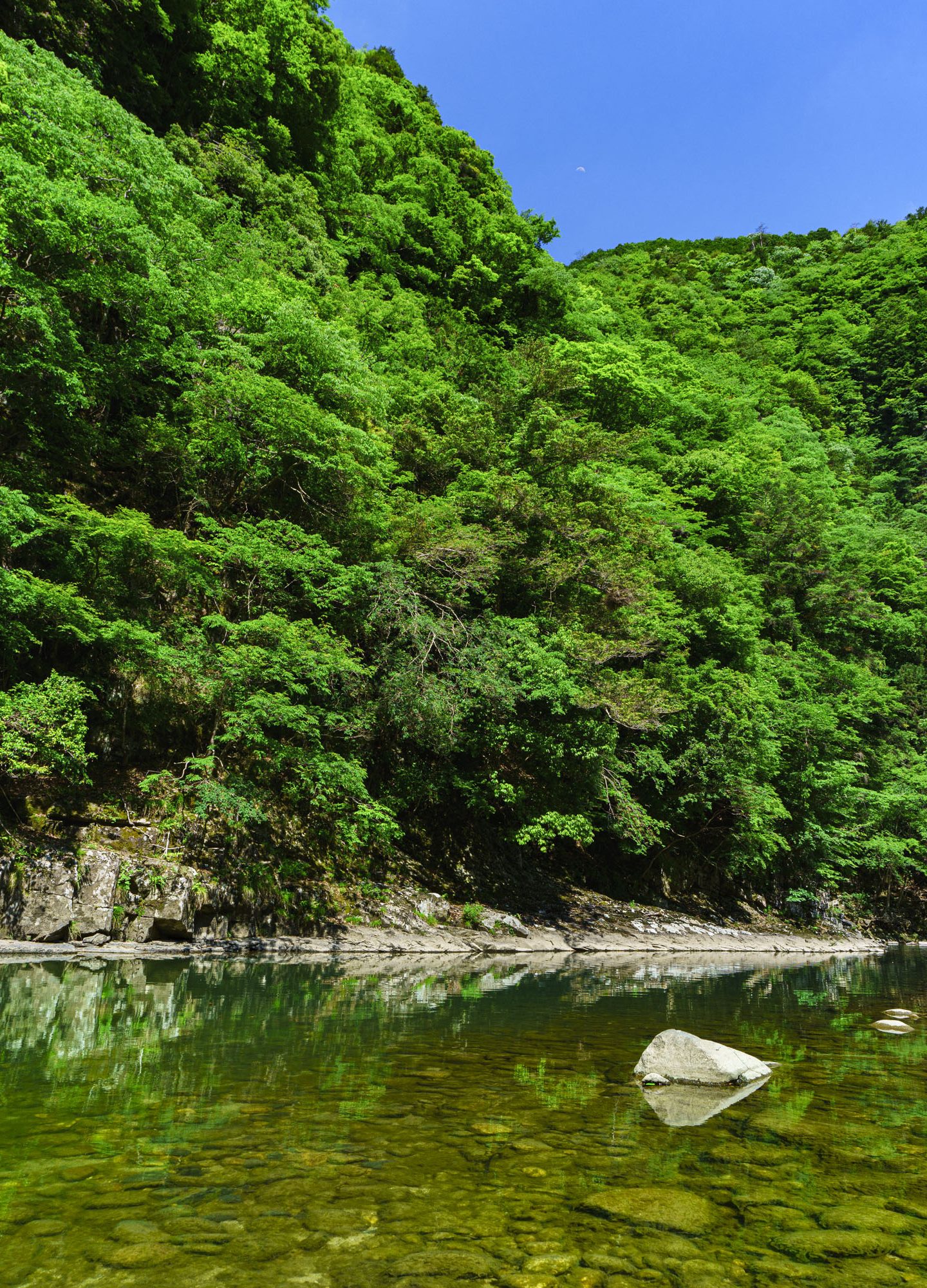 新緑の青蓮寺川(三重県名張市・香落渓)