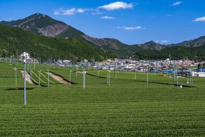 無料壁紙 飯南の町並みと茶畑。PCとデスクトップ壁紙に最適な4K高画質の無料壁紙。三重県松阪市の粥見の茶畑で撮影したフリー写真素材