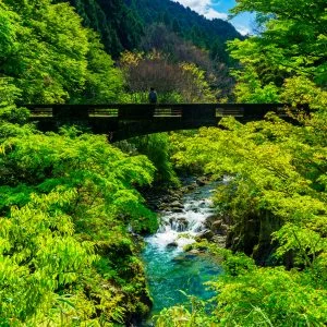 無料壁紙 新緑の河内渓谷。PCとデスクトップ壁紙に最適な4K高画質の無料壁紙。三重県津市の河内渓谷で撮影したフリー写真素材