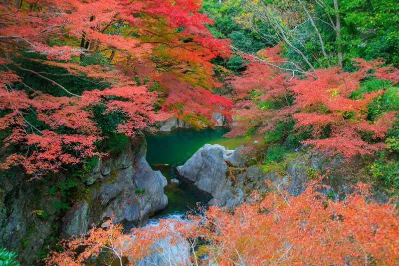 無料壁紙 巨岩と紅葉。PCとデスクトップ壁紙に最適な4K高画質の無料壁紙。三重県津市の河内渓谷で撮影したフリー写真素材