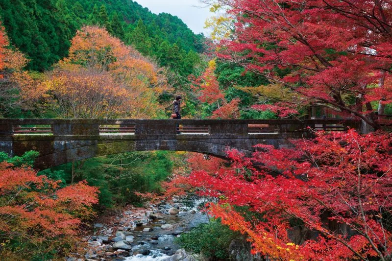 無料壁紙 石橋と紅葉。PCとデスクトップ壁紙に最適な4K高画質の無料壁紙。三重県津市の河内渓谷で撮影したフリー写真素材
