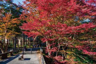 無料壁紙 石橋から眺める紅葉。PCとデスクトップ壁紙に最適な4K高画質の無料壁紙。三重県津市の河内渓谷で撮影したフリー写真素材