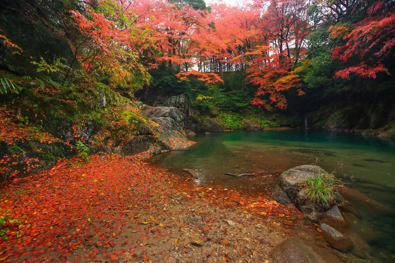 無料壁紙 下流エリアの紅葉。PCとデスクトップ壁紙に最適な4K高画質の無料壁紙。三重県津市の河内渓谷で撮影したフリー写真素材