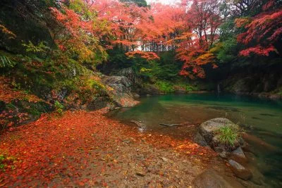 無料壁紙 下流エリアの紅葉。PCとデスクトップ壁紙に最適な4K高画質の無料壁紙。三重県津市の河内渓谷で撮影したフリー写真素材