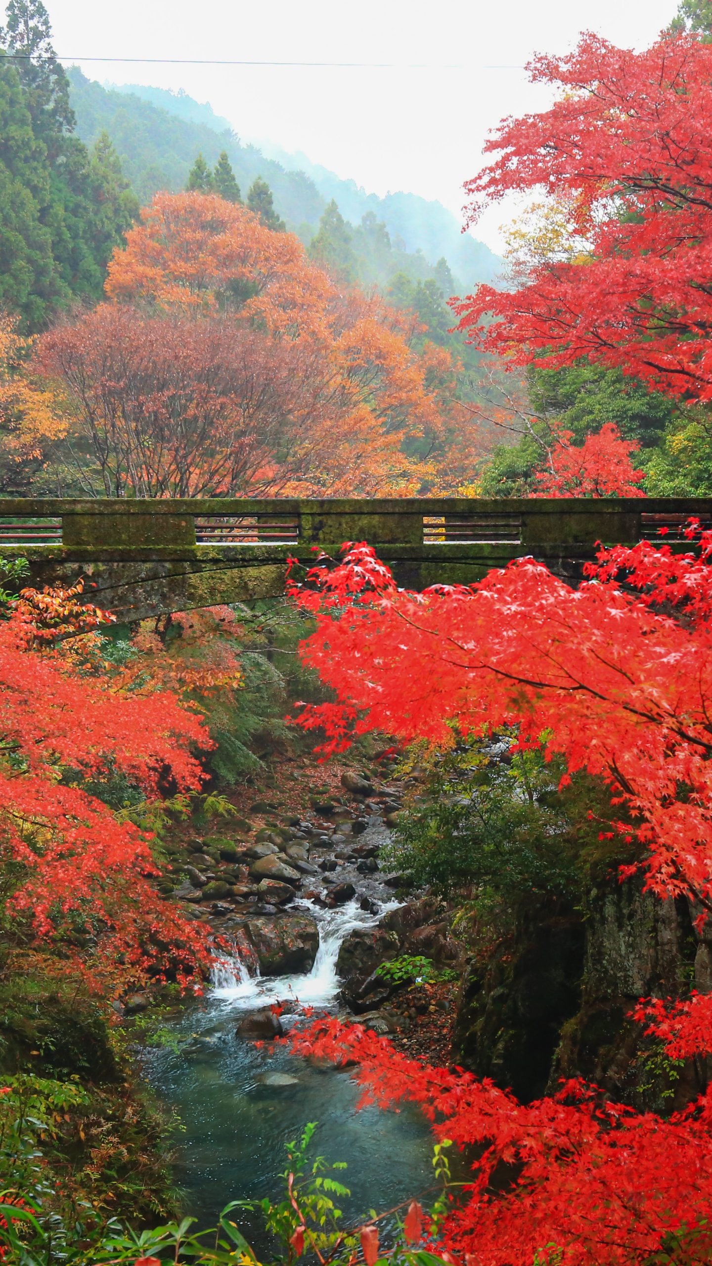 無料壁紙 紅葉広がる石橋。PCとデスクトップ壁紙に最適な4K高画質の無料壁紙。三重県津市の河内渓谷で撮影したフリー写真素材