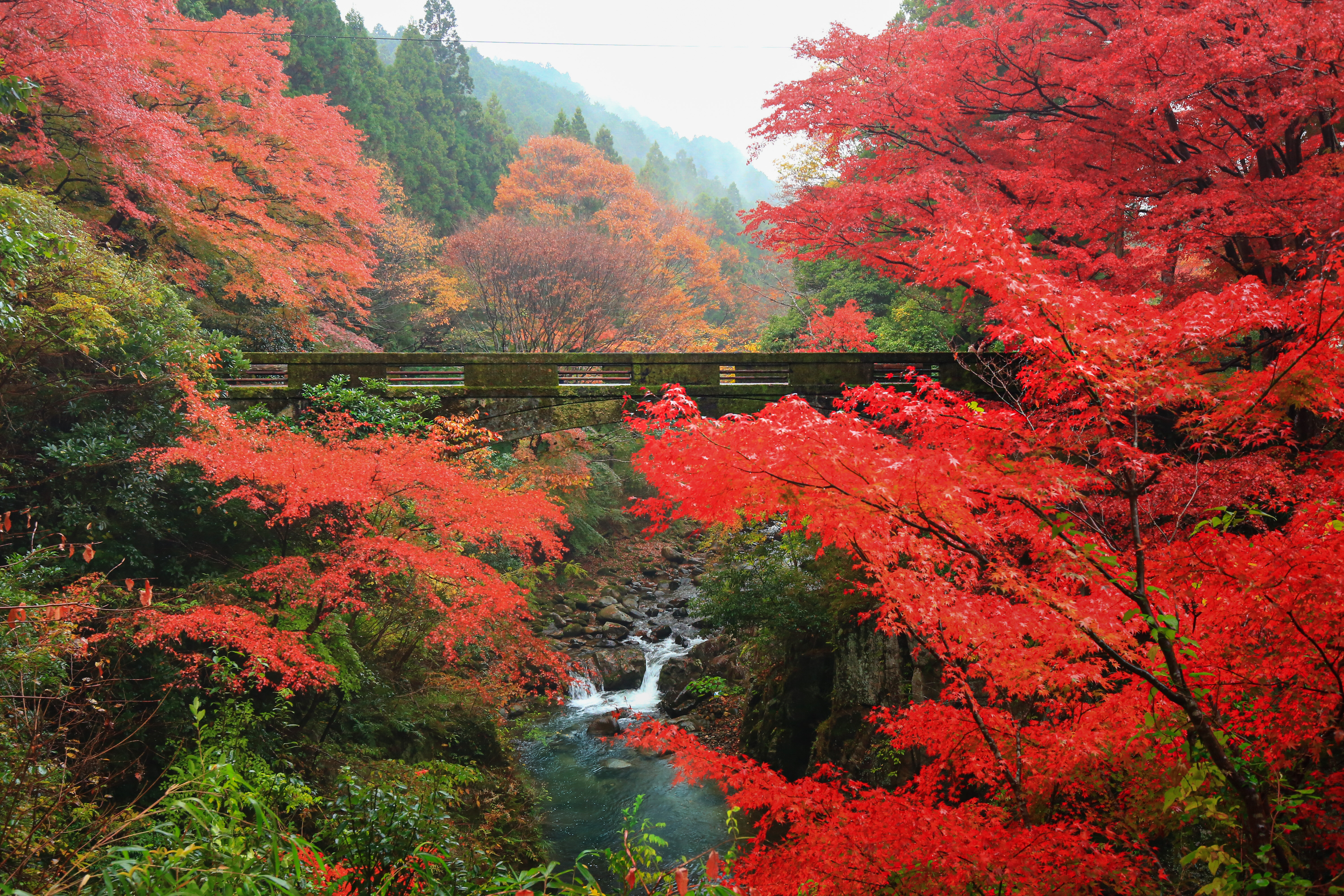 無料壁紙 紅葉広がる石橋。PCとデスクトップ壁紙に最適な4K高画質の無料壁紙。三重県津市の河内渓谷で撮影したフリー写真素材