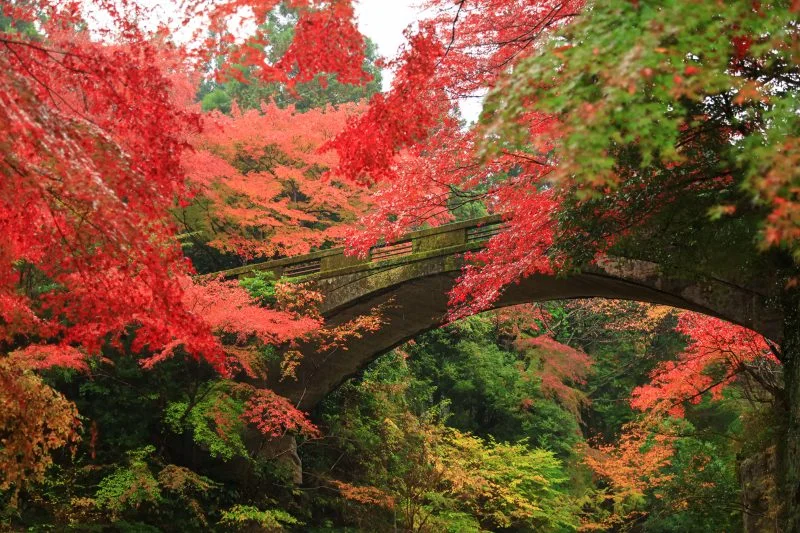 無料壁紙 紅葉の橋。PCとデスクトップ壁紙に最適な4K高画質の無料壁紙。三重県津市の河内渓谷で撮影したフリー写真素材