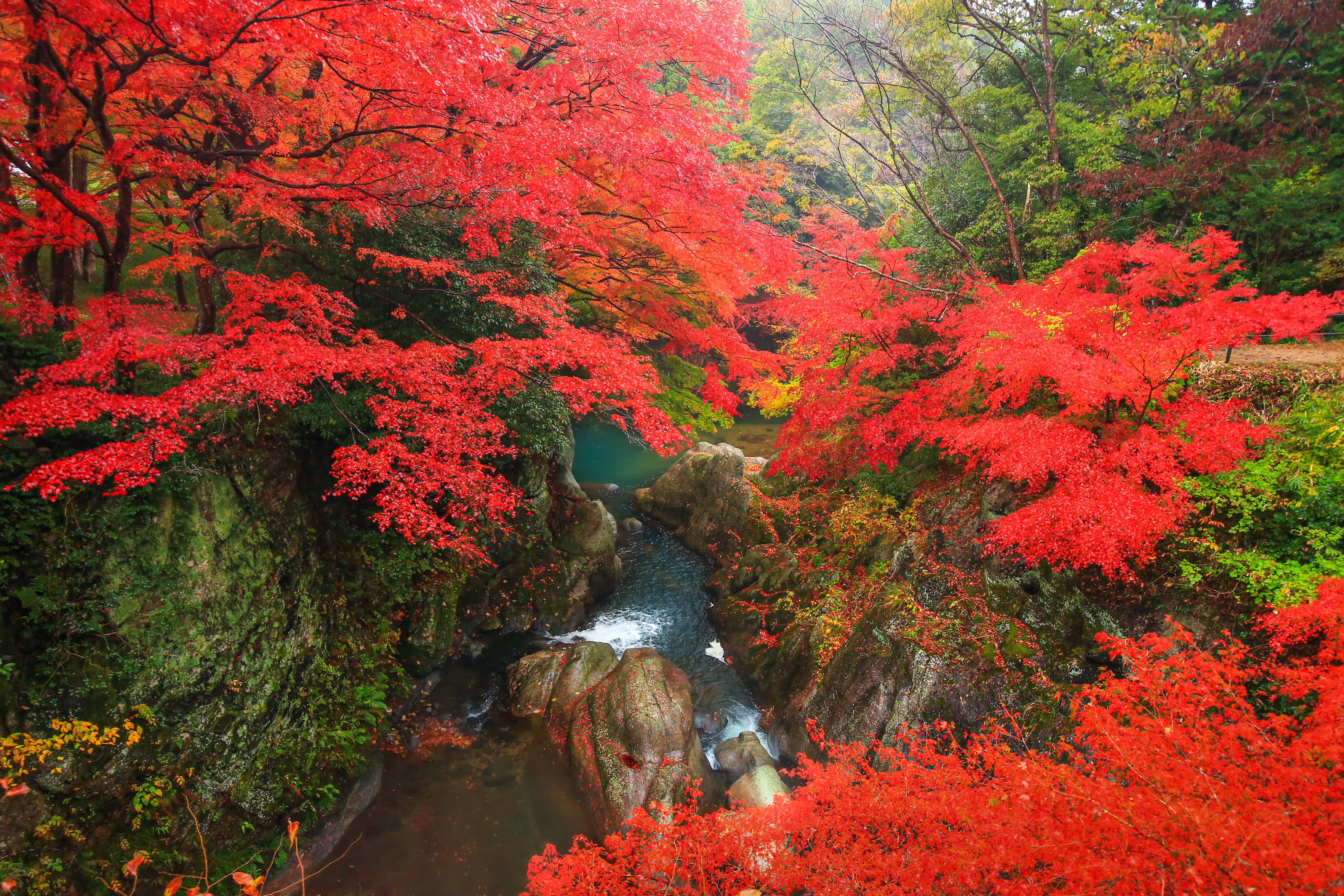 無料壁紙 紅葉が織りなす清流。PCとデスクトップ壁紙に最適な4K高画質の無料壁紙。三重県津市の河内渓谷で撮影したフリー写真素材