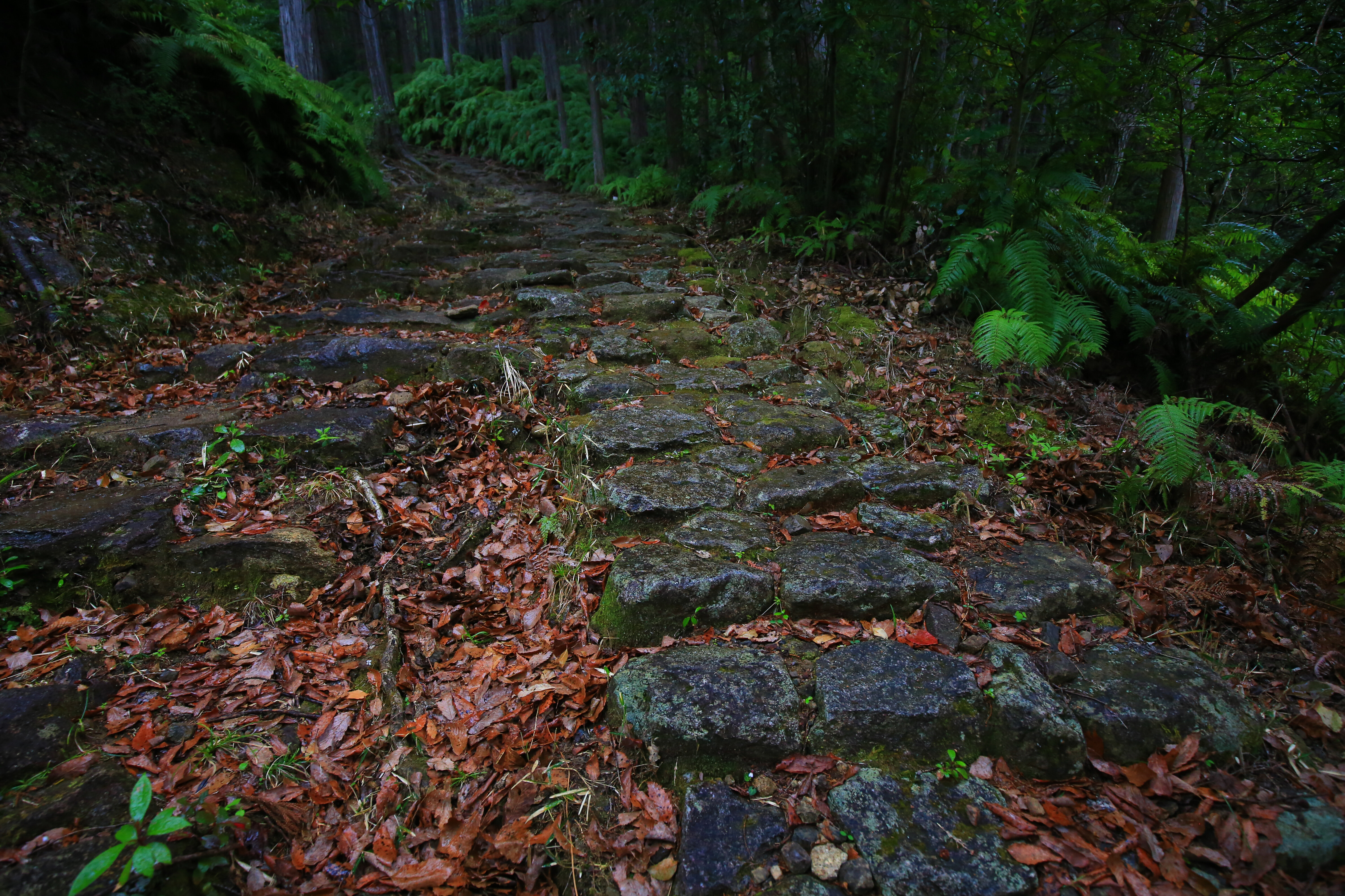 無料壁紙 石畳の続く登山道。PCとデスクトップ壁紙に最適な4K高画質の無料壁紙。三重県紀北町の馬越峠で撮影したフリー写真素材