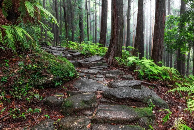 無料壁紙 雨に濡れる石畳（尾鷲側）。PCとデスクトップ壁紙に最適な4K高画質の無料壁紙。三重県紀北町の馬越峠で撮影したフリー写真素材