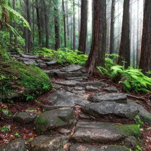 無料壁紙 雨に濡れる石畳（尾鷲側）。PCとデスクトップ壁紙に最適な4K高画質の無料壁紙。三重県紀北町の馬越峠で撮影したフリー写真素材