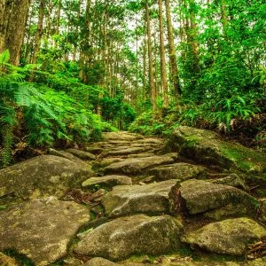 馬越峠のフリー写真素材