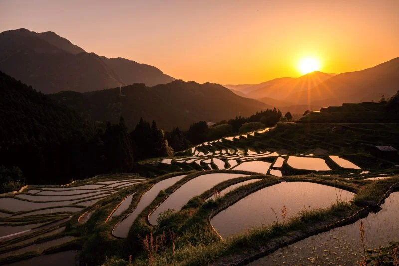 無料壁紙 夕陽と千枚田。PCとデスクトップ壁紙に最適な4K高画質の無料壁紙。三重県熊野市の丸山千枚田で撮影したフリー写真素材