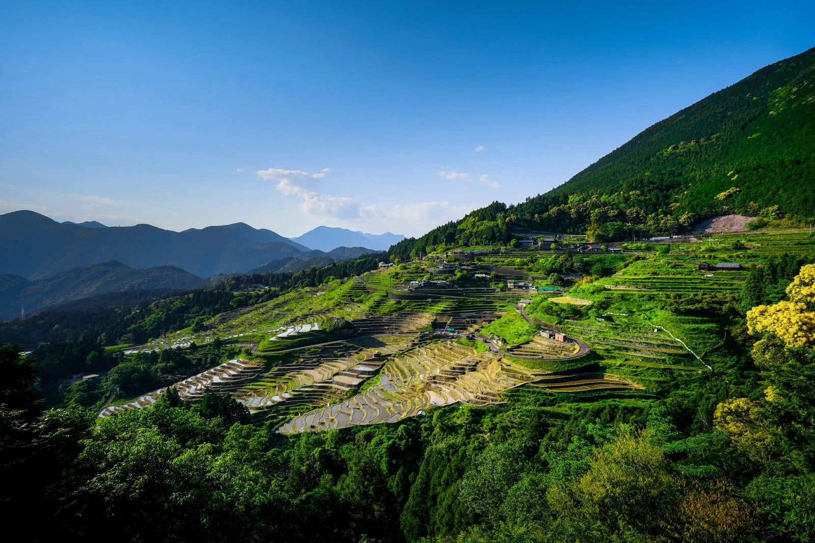 無料壁紙 丸山千枚田の全貌。PCとデスクトップ壁紙に最適な4K高画質の無料壁紙。三重県熊野市の丸山千枚田で撮影したフリー写真素材