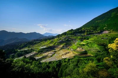 無料壁紙 丸山千枚田の全貌。PCとデスクトップ壁紙に最適な4K高画質の無料壁紙。三重県熊野市の丸山千枚田で撮影したフリー写真素材